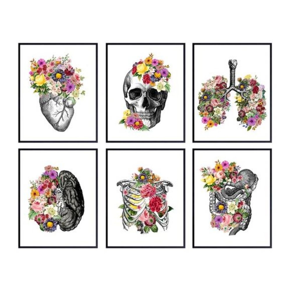 Medical Flower Organs Wall Art 6 Prints Anatomy Home Decor Dr Office